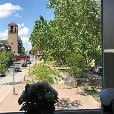 Dompanorama Der Kleine Dschungel Fuer 2-4 Pers Apartment *