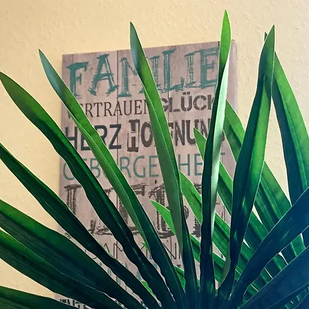 アパート Dompanorama Der Kleine Dschungel Fuer 2-4 Pers