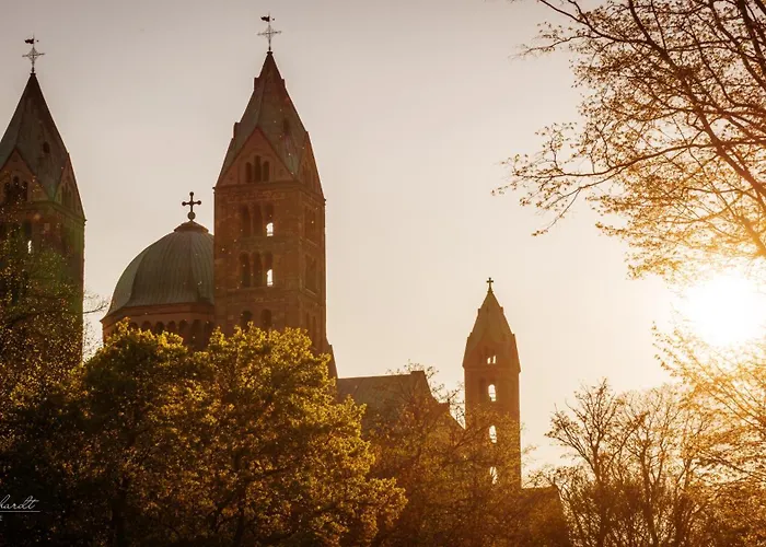 Dompanorama Der Kleine Dschungel Fuer 2-4 Pers דירה שפייר