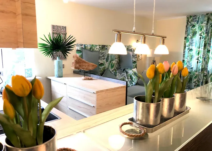 Apartment Dompanorama Der Kleine Dschungel Fuer 2-4 Pers