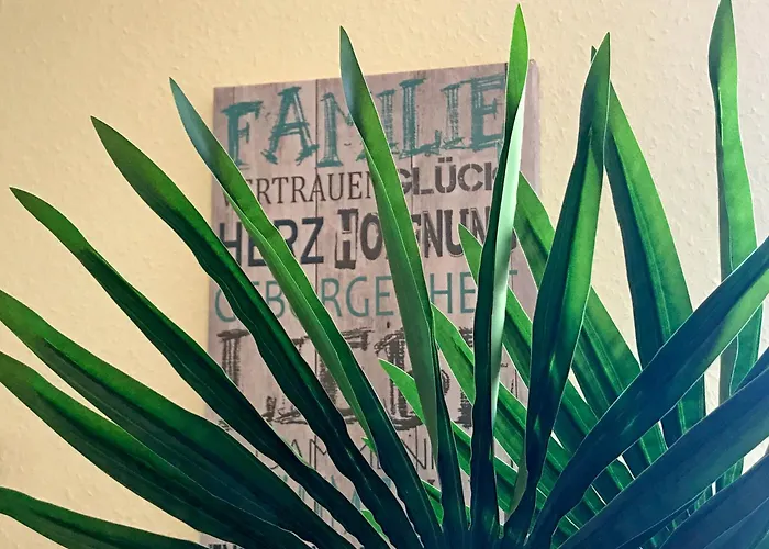 Apartment Dompanorama Der Kleine Dschungel Fuer 2-4 Pers