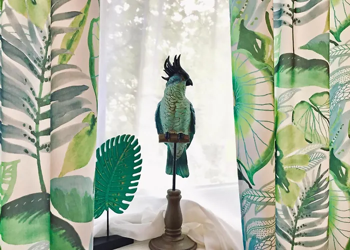 דירה Dompanorama Der Kleine Dschungel Fuer 2-4 Pers