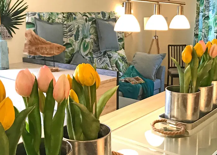 Dompanorama Der Kleine Dschungel Fuer 2-4 Pers